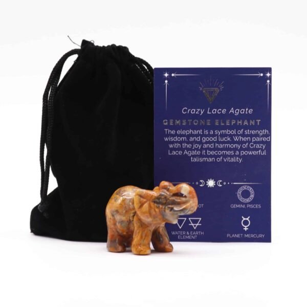 Lucky Elephant - Crazy Lace Agate