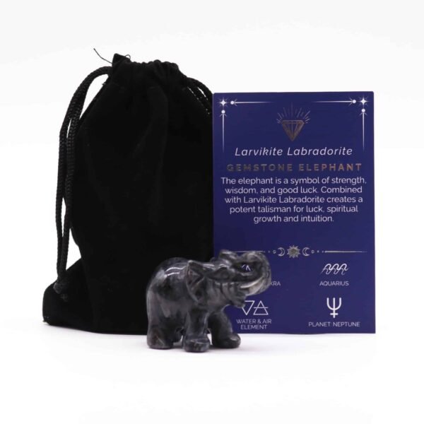 Lucky Elephant - Larvikite Labradorite