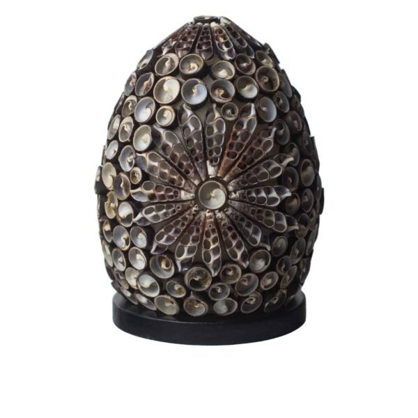 Chocolate Twist Oval Sea Shell Lamp - 15cm