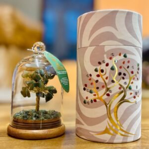 Miniature tree fairy garden ornament under glass cloche, decorative home decor gift, indoor botanical display, handcrafted nature-inspired paperweight, Sunshine Gifts UK product.